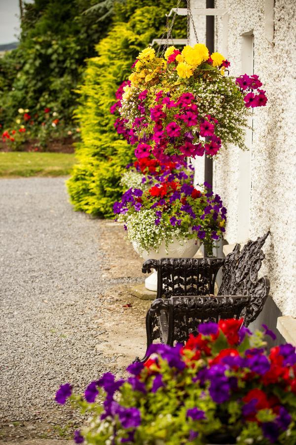 Гостевой дом Glasha Farmhouse Ballymacarbry Экстерьер фото